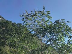 -焦作青龙峡风景名胜区