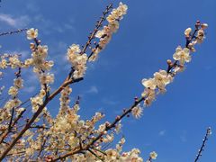 -广州市流溪河国家森林公园