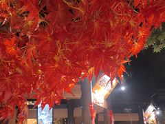 -小凤庭·地道湖北菜武昌鱼·藕汤(38年黄鹤楼店)