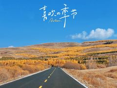 -塞罕坝国家级自然保护区