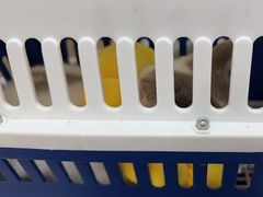 -瑞派中心宠物医院·CT·核磁·神经专科