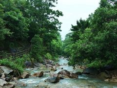 -广州白江湖森林公园