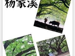 -太姥山风景名胜区