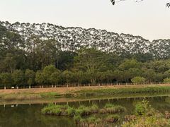 -广州市红十字会医院(总院)