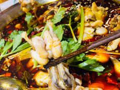 青牛蛙-蛙一刀·麻椒鱼火锅(金仙桥店)