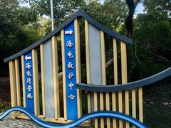 -广东惠东海龟国家级自然保护区