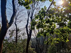 -岳麓山风景名胜区