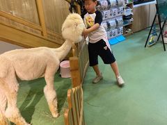 -藦茜花园宠物主题亲子互动体验馆(国顺东路店)