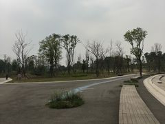 -白鹭湾湿地公园