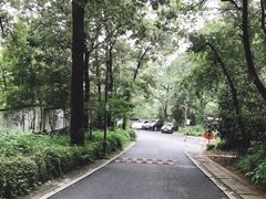 -杭州西湖风景名胜区-满觉陇四眼井
