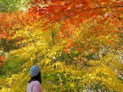 -田野绿世界