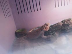 -Moni星球萌宠·小马宝莉·灵蛇·高端高阶全萌宠互动体验俱乐部(红豆国际广场店)