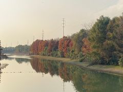 -上海海湾国家森林公园