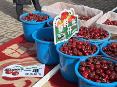 -桃源市场(解放路店)