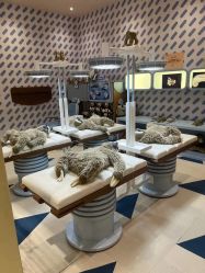 -奈尔宝·儿童乐园·亲子餐厅(长沙运达汇店)