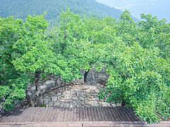 -云丘山景区