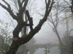 -塔云山