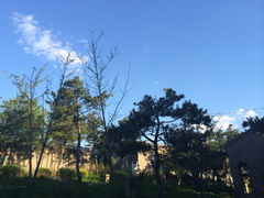 iphone_upload_pic-爱新觉罗皇家博物院