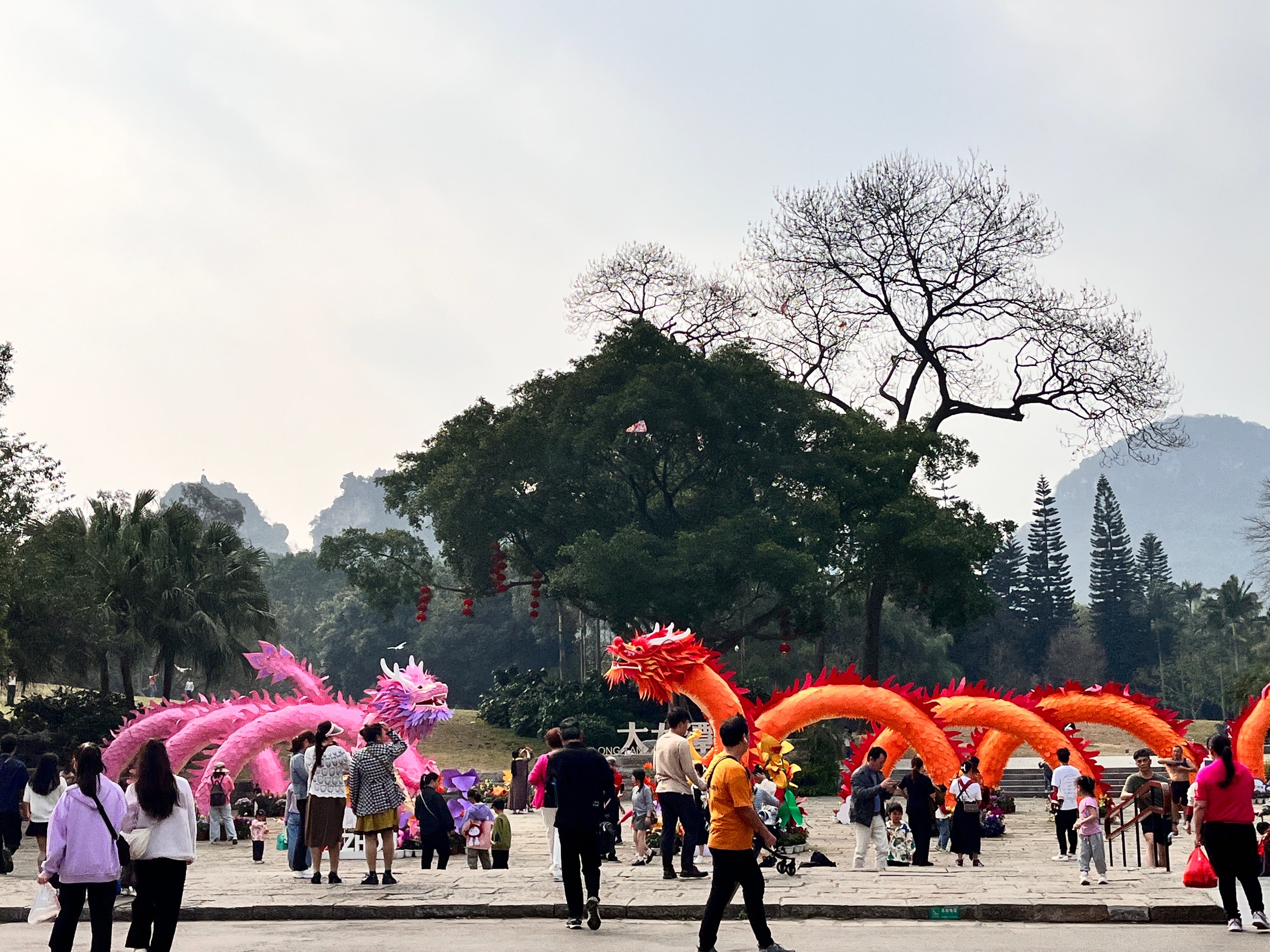 攀枝花大龙潭风景区图片