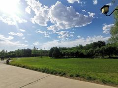 -永定河休闲森林公园