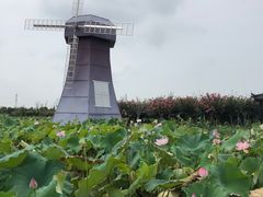 -武汉紫薇都市田园