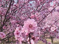 -南京中医药大学(仙林校区)