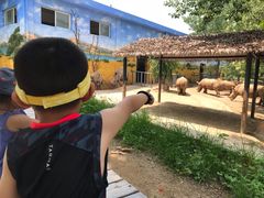 -西安秦岭野生动物园