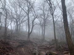 -紫金山山顶公园