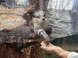 -Zoolung Zoolung动物主题公园(海信广场店)