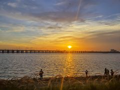 -宝安西湾红树林湿地公园