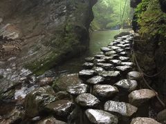 -牛背梁国家森林公园