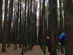 -山王坪喀斯特国家生态公园