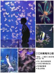 -酷嗒动物文化乐园(cutezoo西溪乐天城店)