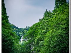 -鲁镇