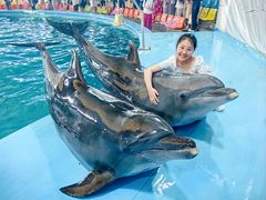 -尼莫海豚馆