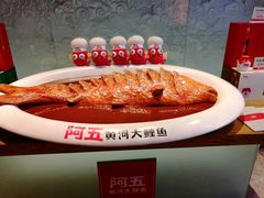 -阿五黄河大鲤鱼(英协路店)