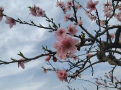 -江南大学(蠡湖校区)