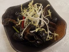 凉拌木耳-酌宴府The China Club·广州万富希尔顿酒店(云城东路店)
