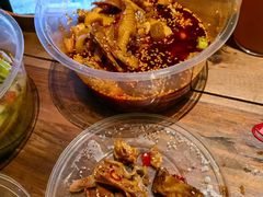 -龙翔山庄雷鸡肉(青城后山泰安古镇店)