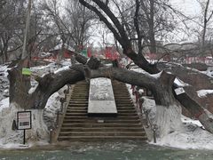 -水磨沟公园