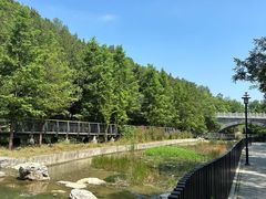 -白水寺森林公园