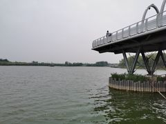 -大兴滨河森林公园