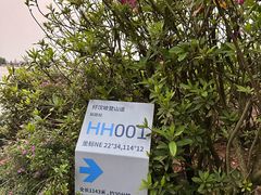 -梧桐山风景名胜区