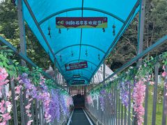 -浏阳石牛寨风景区