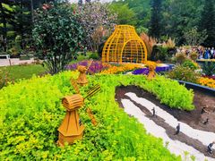 -深圳仙湖植物园