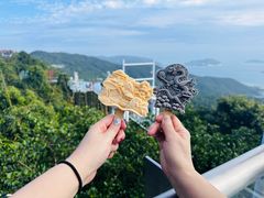 -亚龙湾热带天堂森林公园