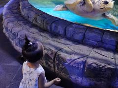 -多彩贵州城极地海洋世界