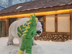 -广州热雪奇迹