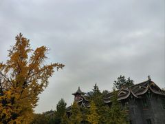 -四川大学(华西校区)