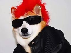 -正德顺順德雙皮奶(中信店)